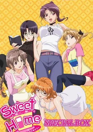 Sweet home h na oneesan wa suki desu ka 3