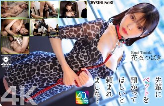 [4K] My senior asked me to take care of his pet... Hanagoromo Tsubaki